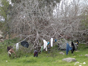 תמונות ממושב מירון